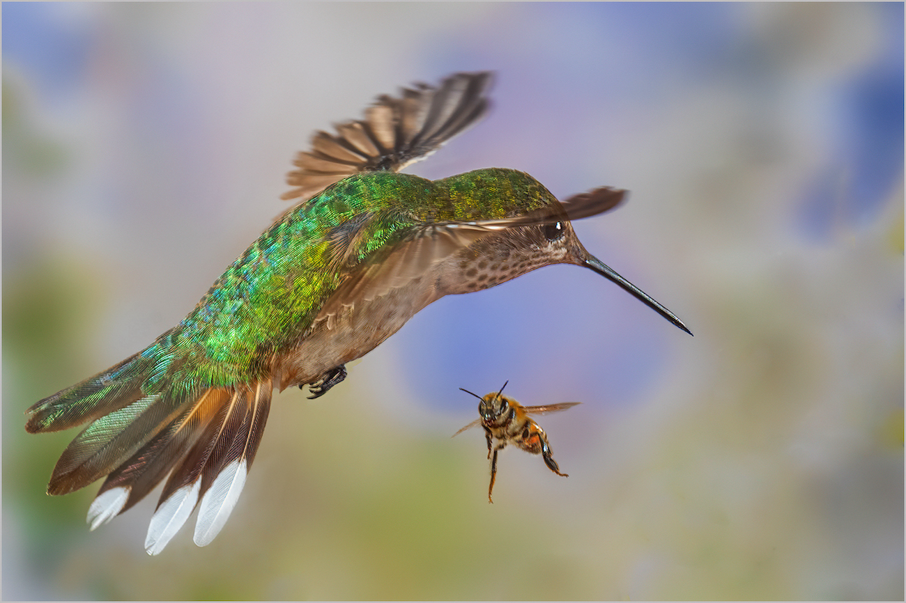 Seeking by Mark McKinney (Group 43)